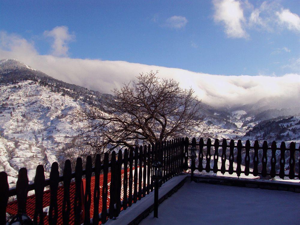 Aroma Dryos Spa & Eco Hotel Metsovo Ngoại thất bức ảnh