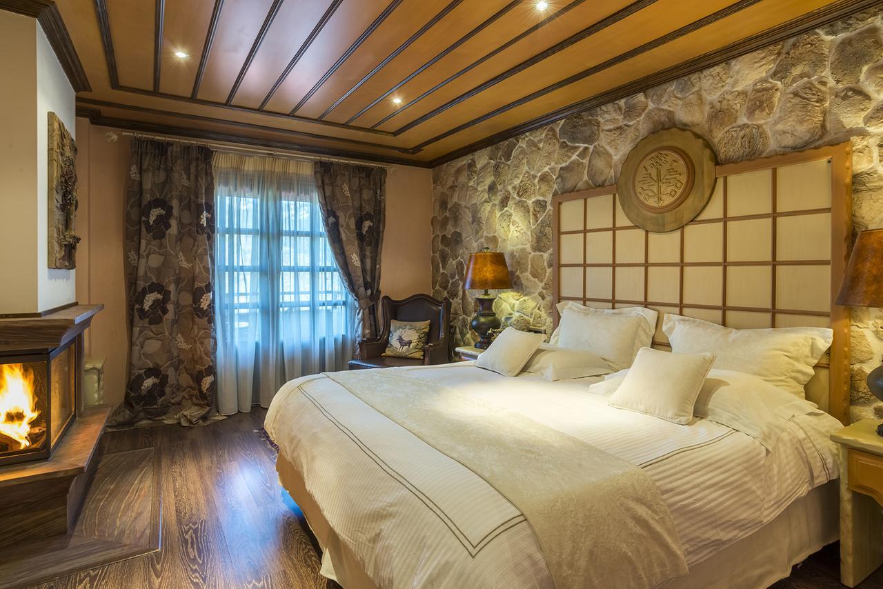 Aroma Dryos Spa & Eco Hotel Metsovo Ngoại thất bức ảnh
