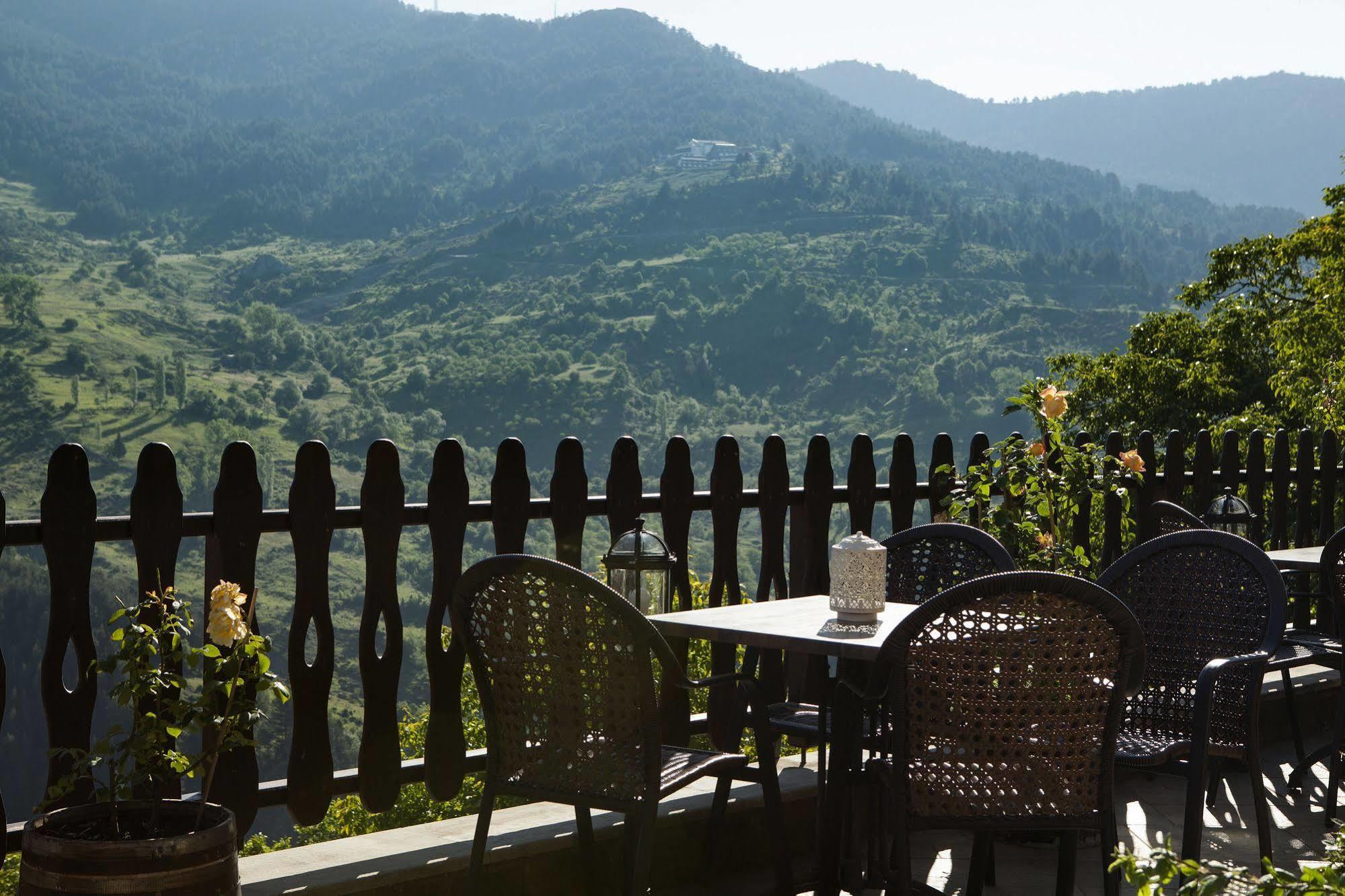 Aroma Dryos Spa & Eco Hotel Metsovo Ngoại thất bức ảnh