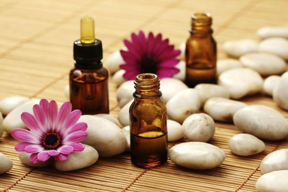 Aroma Dryos Spa & Eco Hotel Metsovo Ngoại thất bức ảnh